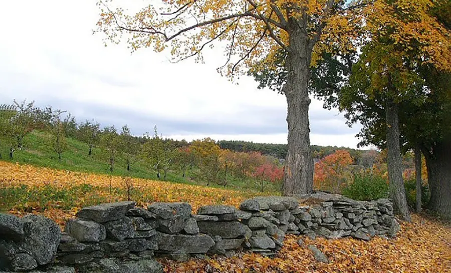 A stone wall in an autumn landscape with colorful foliage and trees in the background.