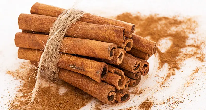 A bundle of cinnamon sticks tied with twine, surrounded by ground cinnamon powder.