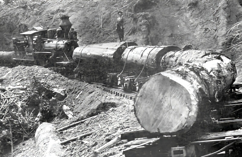 A historic steam locomotive positioned on a logging site with large logs in the foreground.